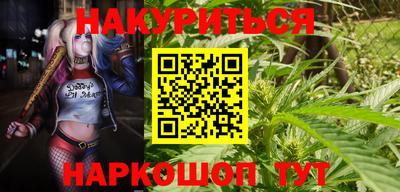 мдма Новозыбков