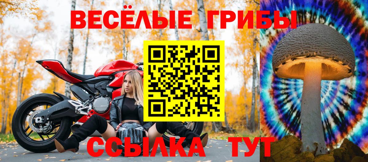 Псилоцибиновые грибы Cubensis  Псилоцибиновые грибы мухоморы  Вход с VPN  Хабаровск 